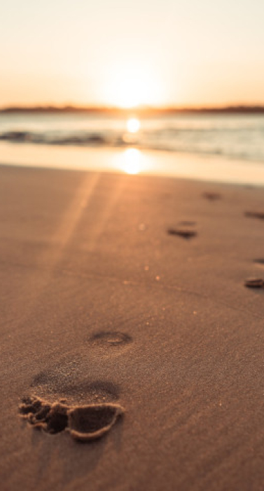 footprint